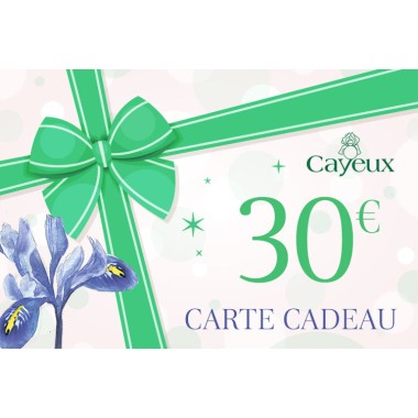 Carte Cadeau 30€