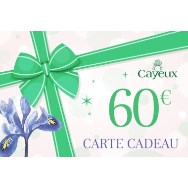 Carte cadeau : 60€