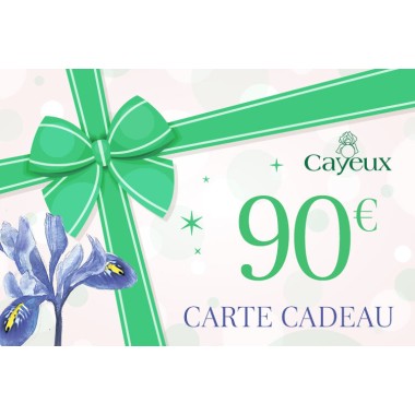 Carte cadeau : 90€